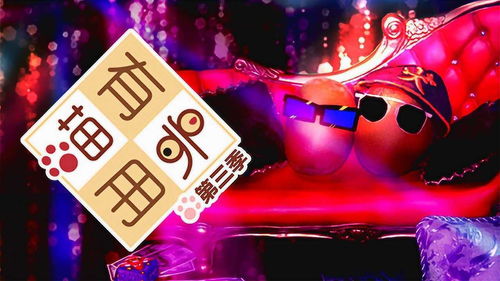 喵有卵用3 第18话——DJ猕猴桃的演出经纪奇遇记